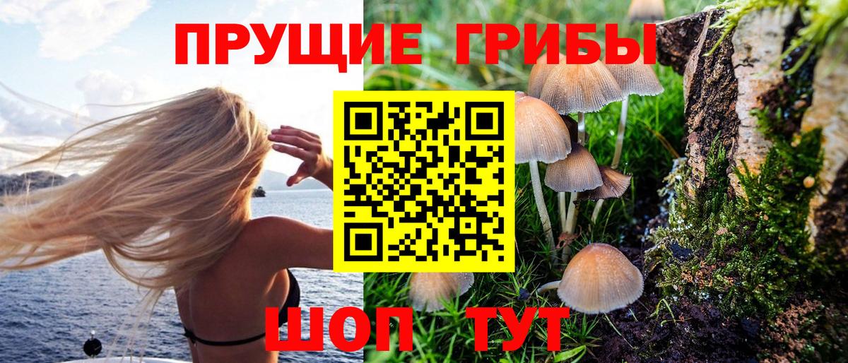 Псилоцибиновые грибы Cubensis  Вход с VPN  где купить   Лиски  Псилоцибиновые грибы Magic Shrooms 